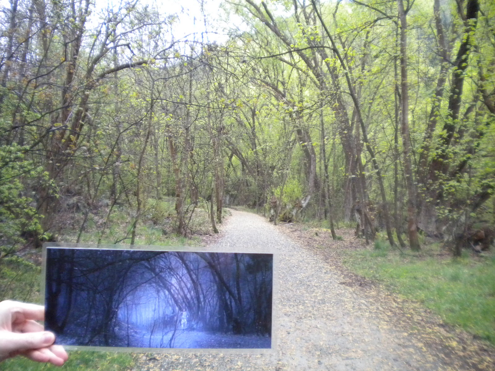 новая зеландия места съемок властелина колец